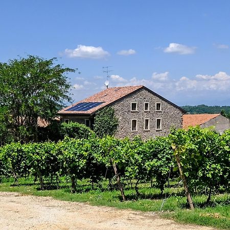 Seiterre Agriturismo Tenuta San Leone 발레지오술민쵸 외부 사진