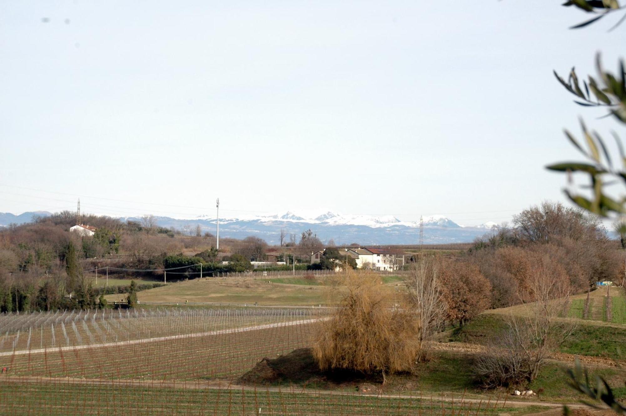 Seiterre Agriturismo Tenuta San Leone 발레지오술민쵸 외부 사진