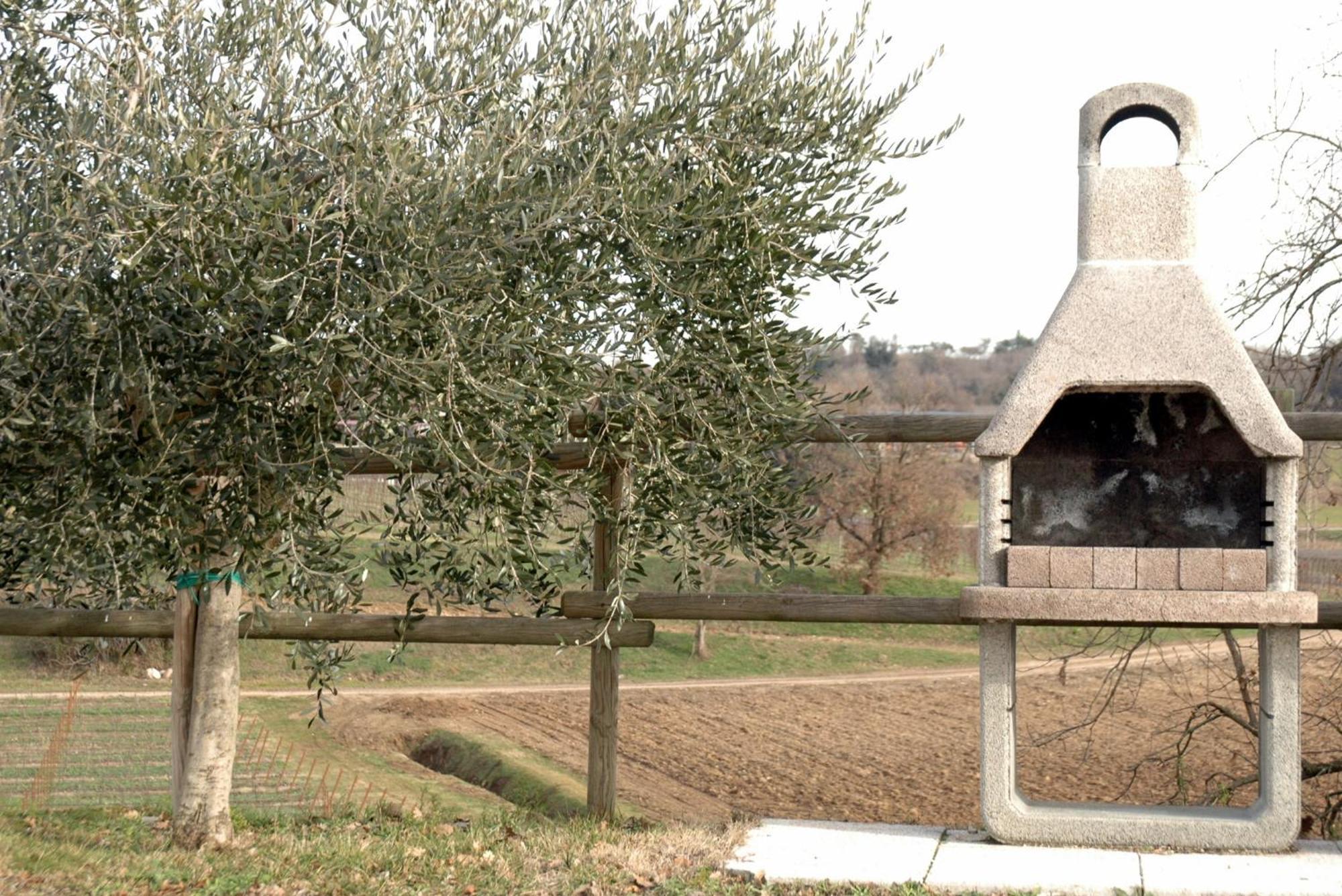 Seiterre Agriturismo Tenuta San Leone 발레지오술민쵸 외부 사진