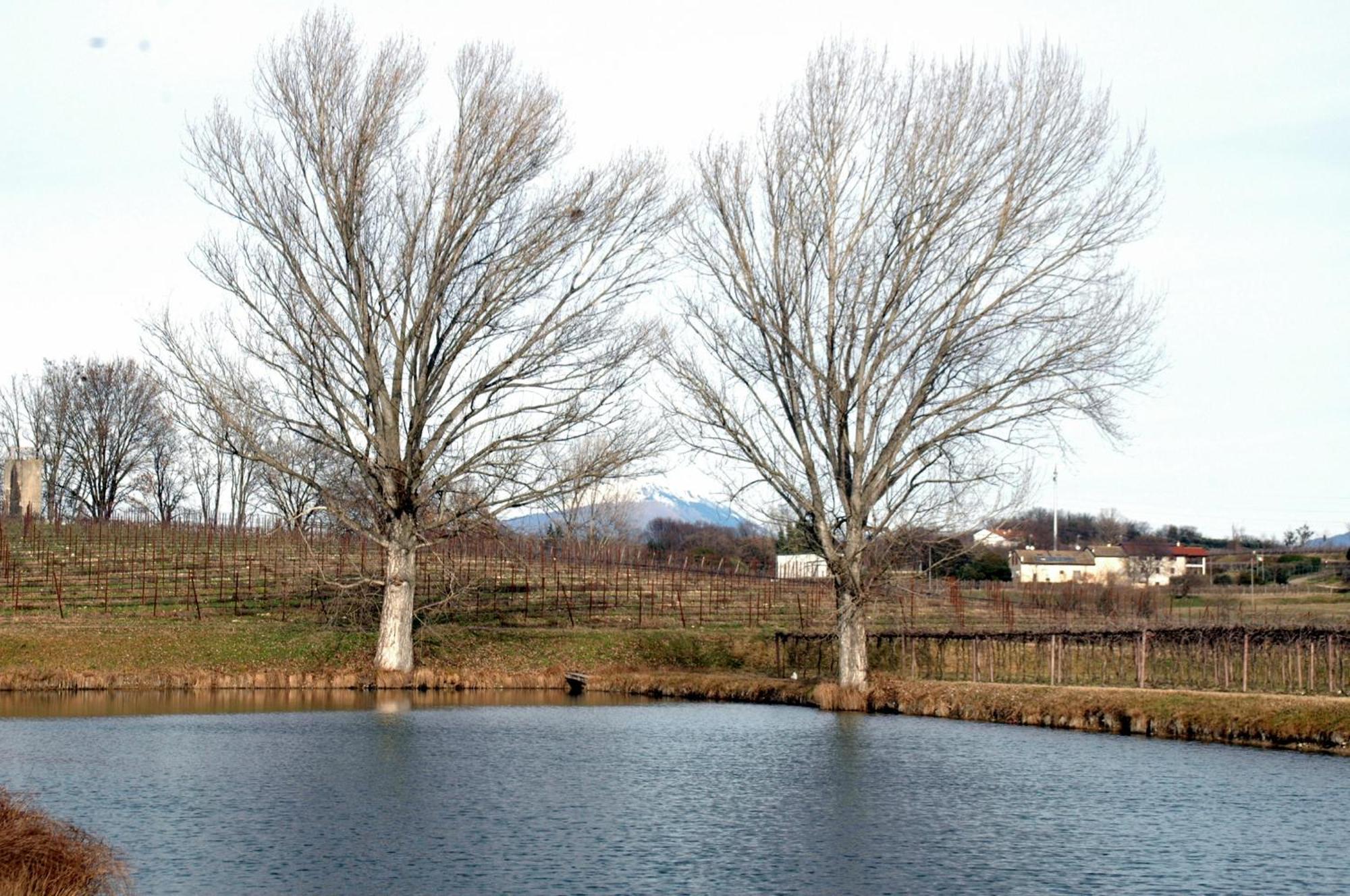 Seiterre Agriturismo Tenuta San Leone 발레지오술민쵸 외부 사진