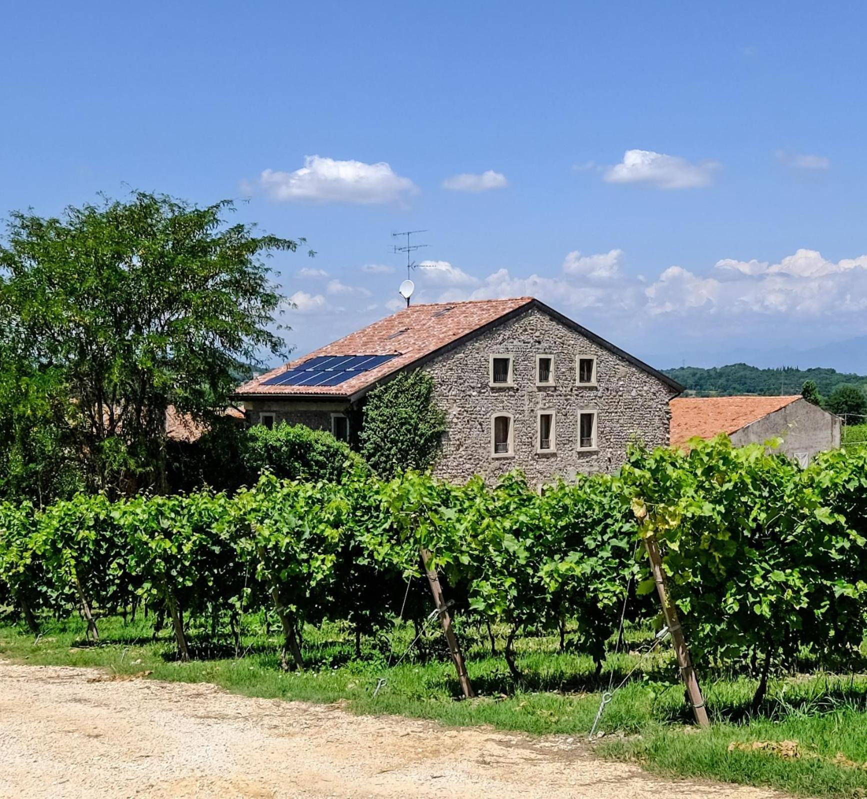 Seiterre Agriturismo Tenuta San Leone 발레지오술민쵸 외부 사진