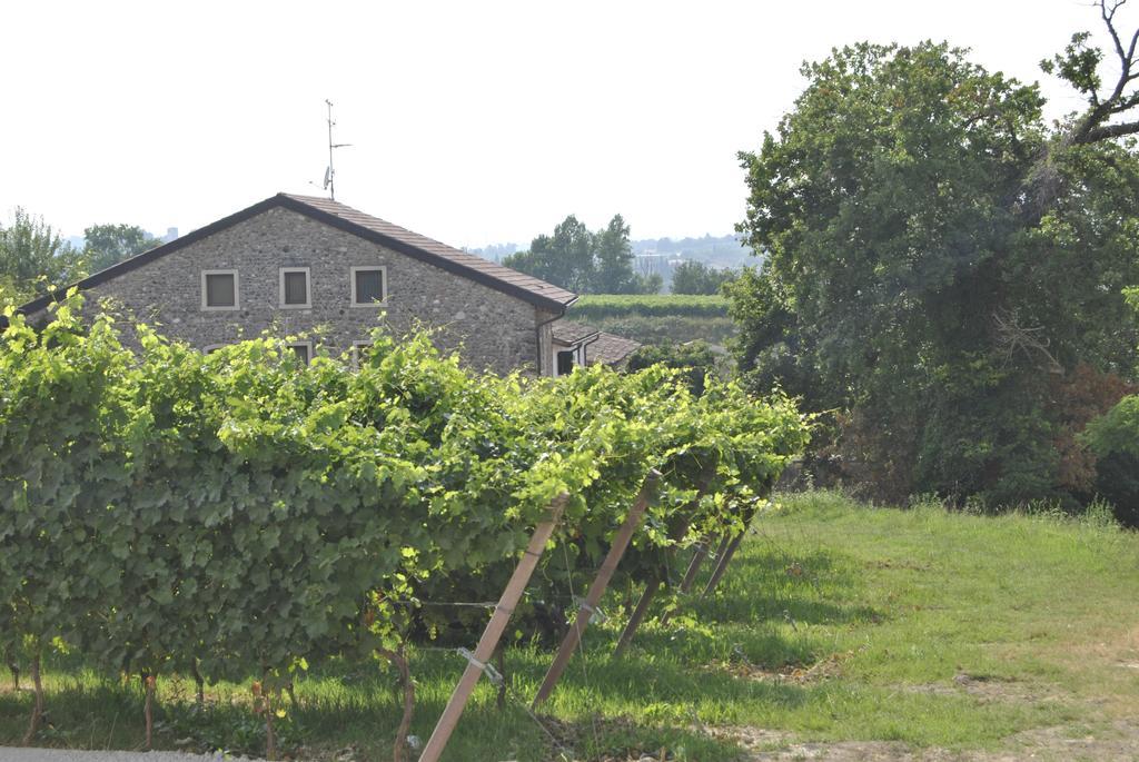 Seiterre Agriturismo Tenuta San Leone 발레지오술민쵸 외부 사진